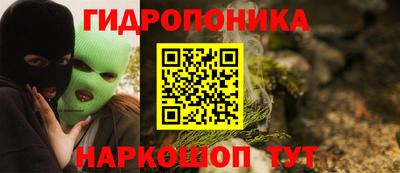 индика Гусев