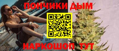индика Гусев