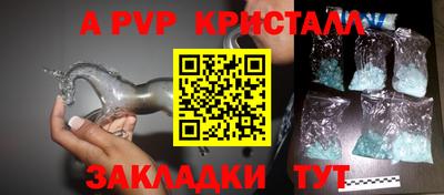 индика Гусев