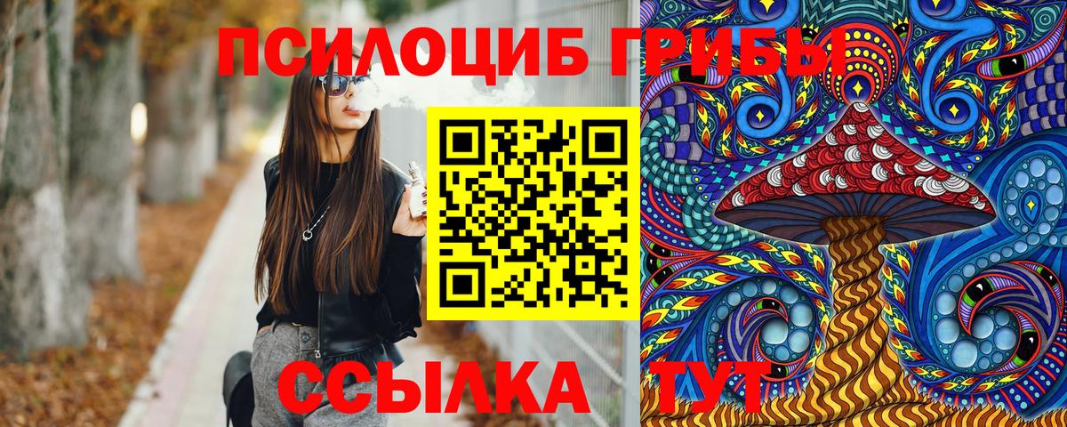 Михайловск  Псилоцибиновые грибы прущие грибы  Вход с VPN 